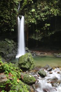 emerald-pool-dominica-1