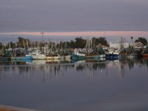 Shrimp Boats in Puerto Penasco Mexico