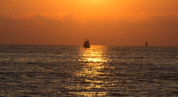 sunset in Clearwater