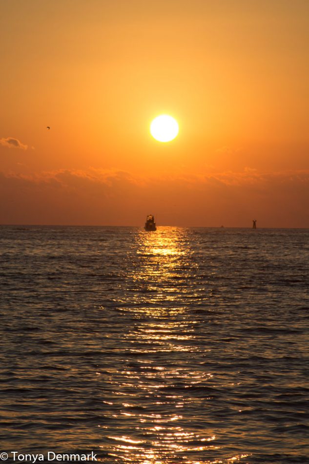 sunset in Clearwater