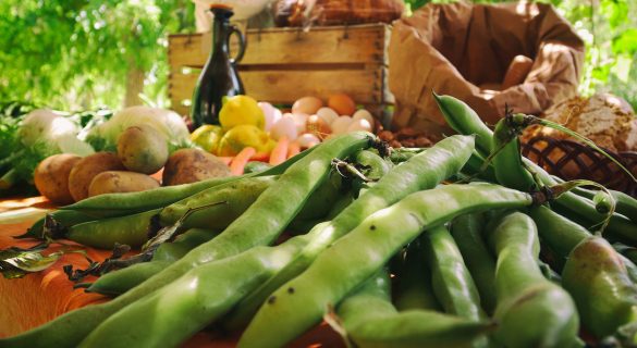 Italian Organic Farming