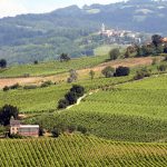 oltrepo pavese wine region