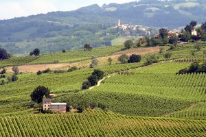 oltrepo pavese wine region