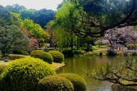 Shinjuku Gyoen National Garden