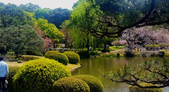 Shinjuku Gyoen National Garden