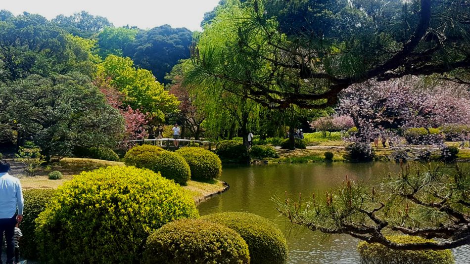 Shinjuku Gyoen National Garden