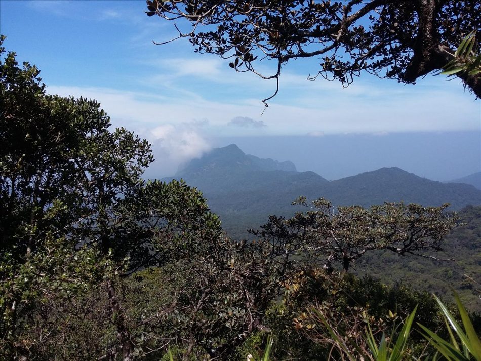 seven virgin mountain range