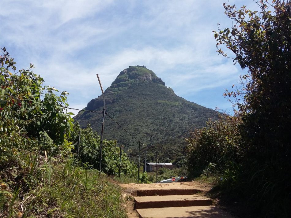 sri pada peak