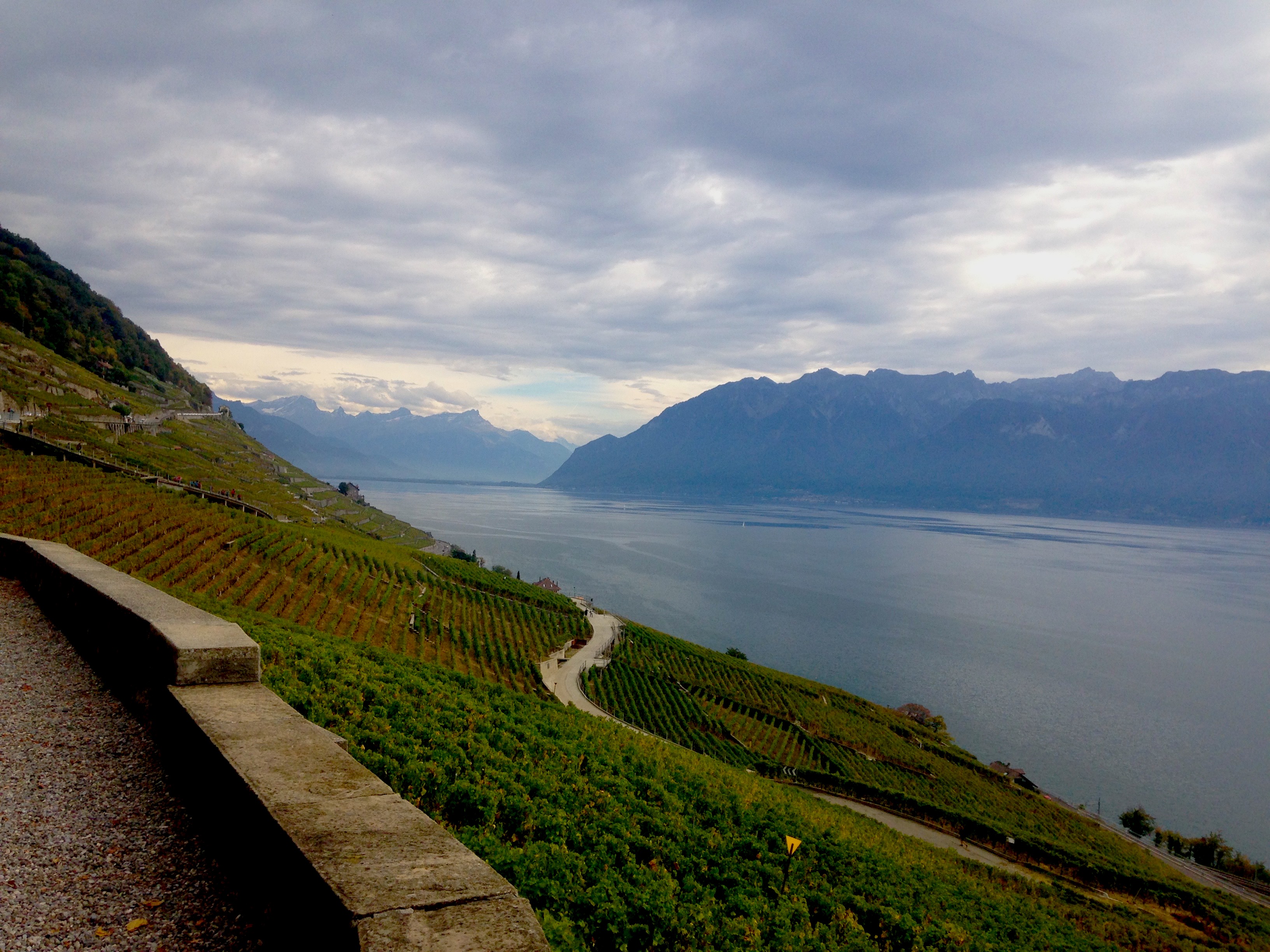 Exploring Wine in Switzerland's Lake Geneva Region Dave's Travel Corner