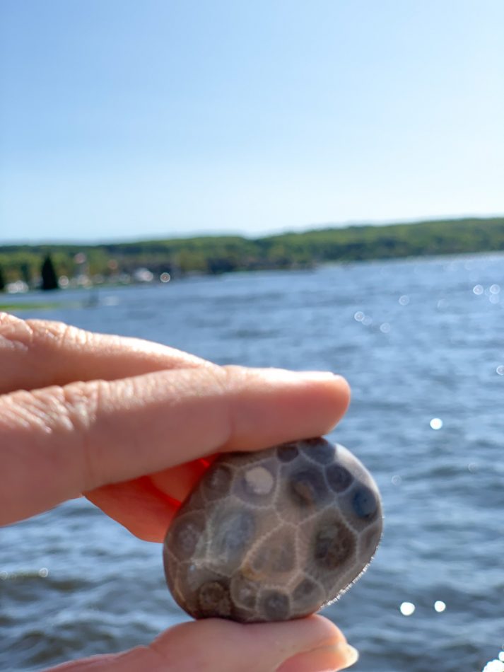 Petoskey Stone