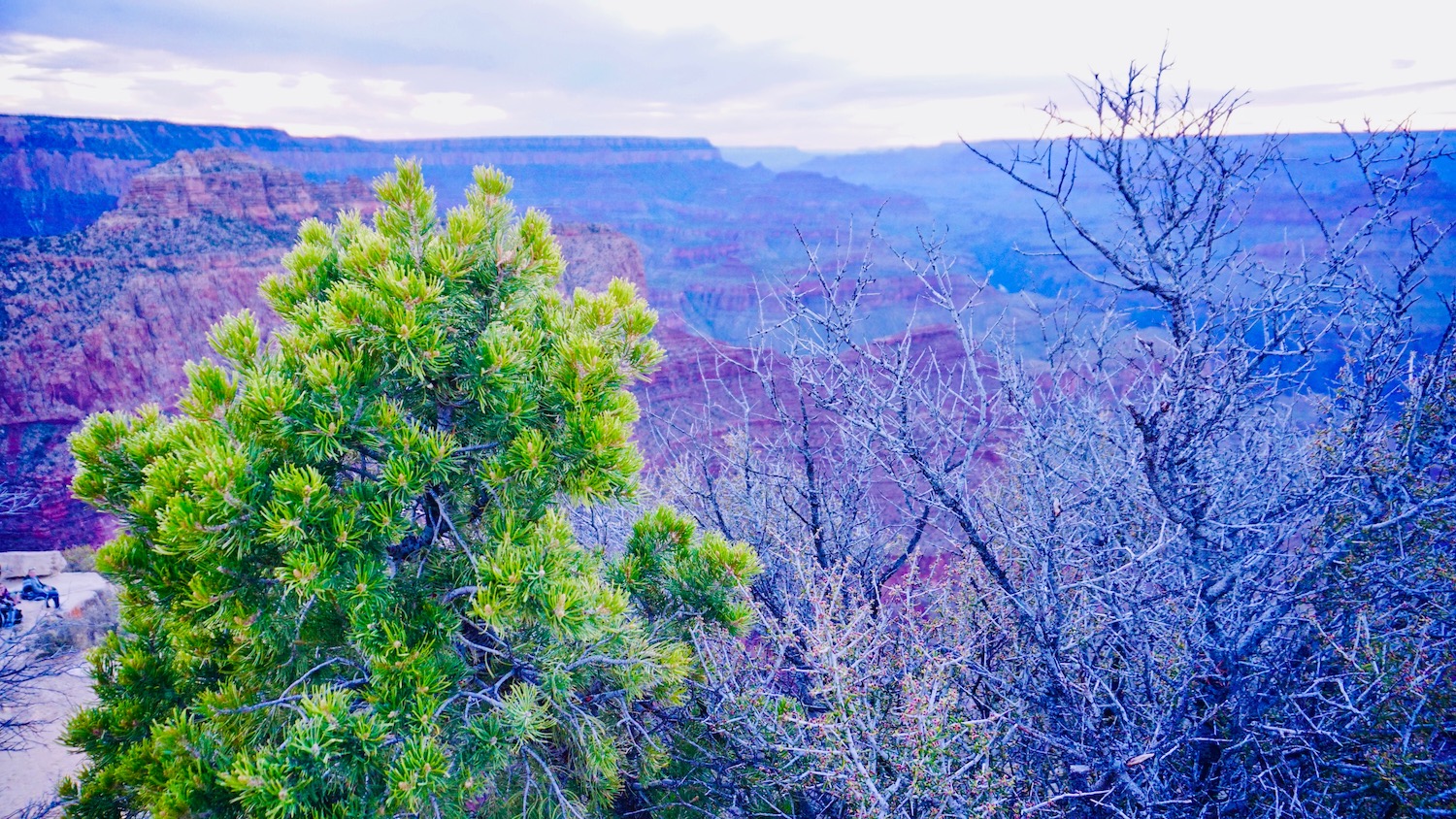 grand canyon tour for mandarin speakers