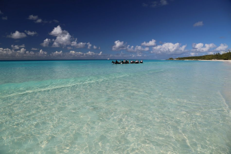 half-moon-cay-bahamas (2)