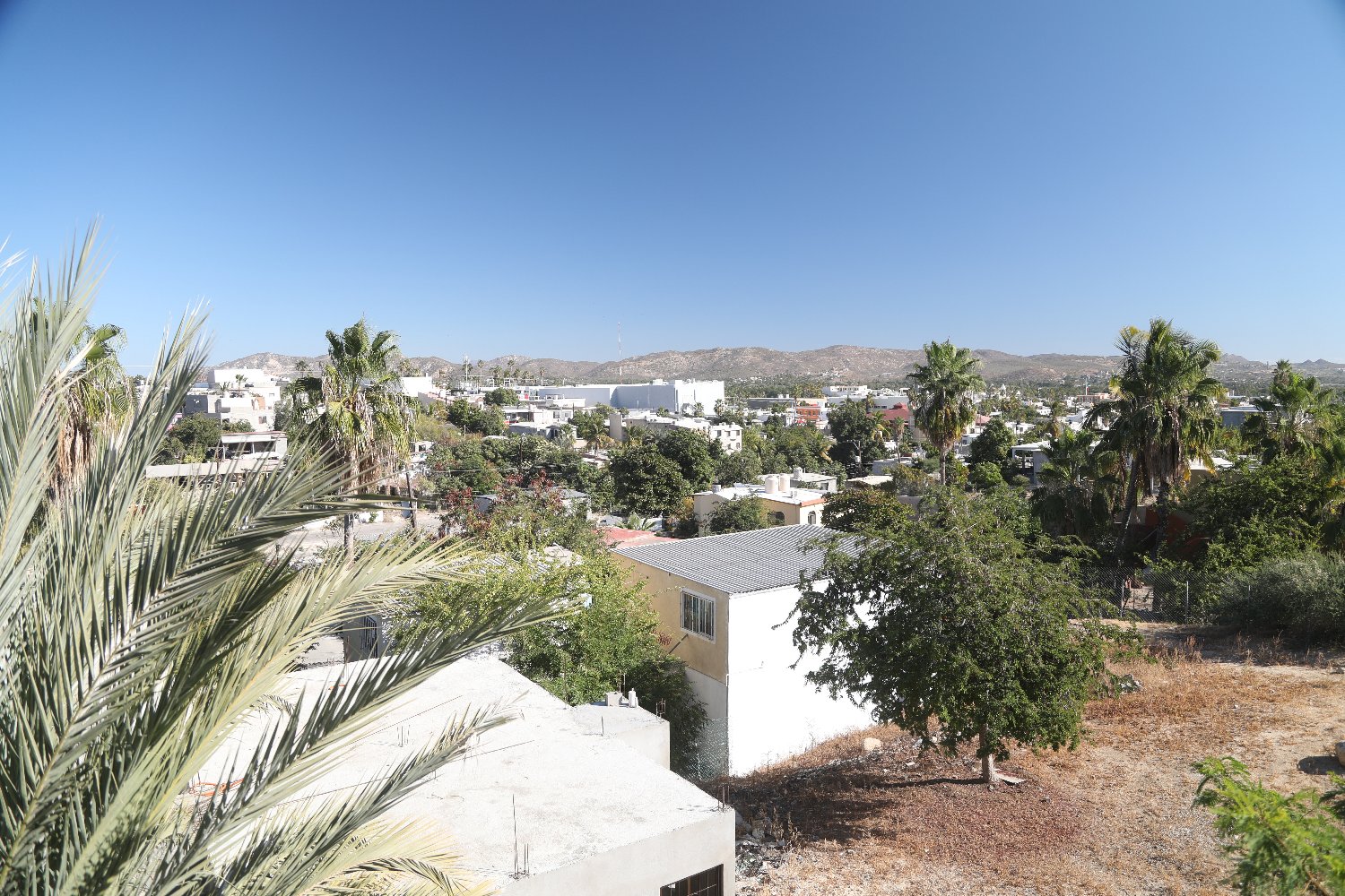My Time so far in San Jose del Cabo, Mexico - Dave's Travel Corner