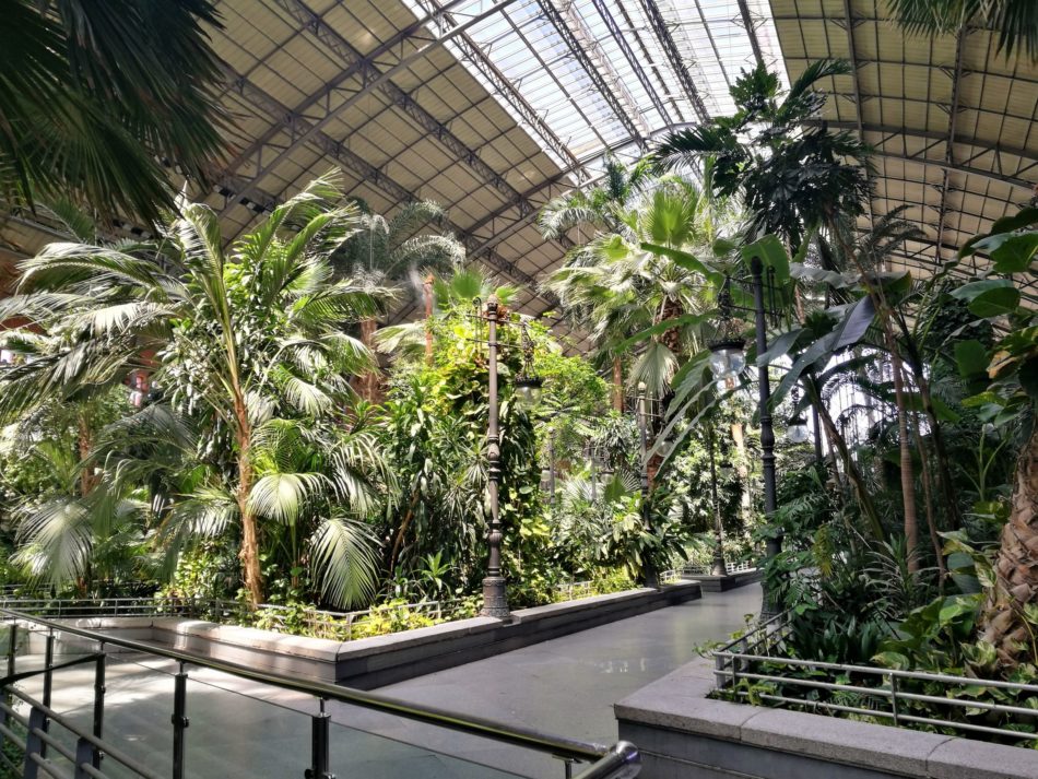 Trees under the industrial canopy of Madrid Atocha Station in Spain
