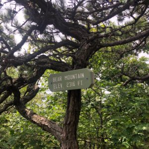 Day Hiking Connecticut: Bear Mountain