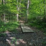 Day Hiking Connecticut: Trout Brook Valley