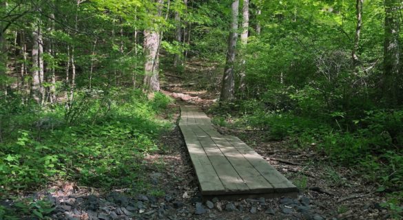 Day Hiking Connecticut: Trout Brook Valley