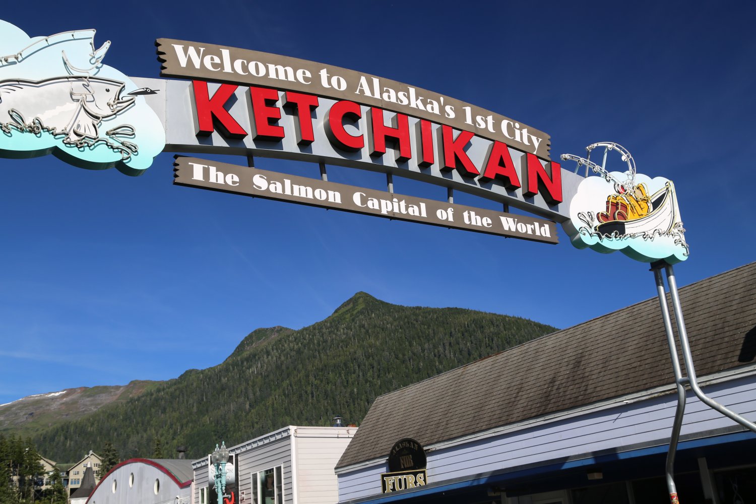 Cruising Alaska's Inside Passage with Holland America - Dave's