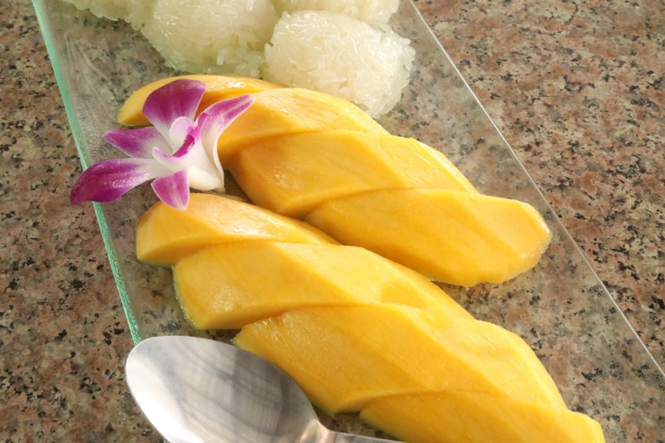 7 Tips for Travelling With Chronic Pain Making Memories On The Go