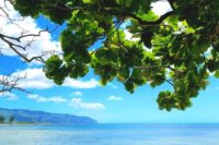 Blue skies and crystal waters at Haleiwa Alii Beach