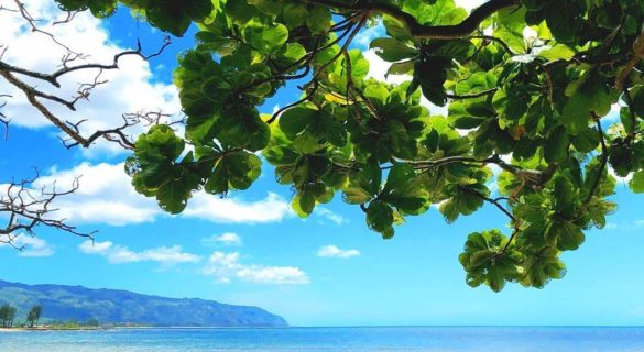 Blue skies and crystal waters at Haleiwa Alii Beach