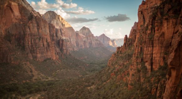 Zion National Park