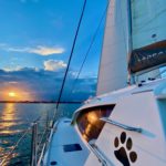 Everything Zen sailing serenely towards the setting sun over Charleston