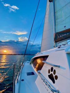 Everything Zen sailing serenely towards the setting sun over Charleston