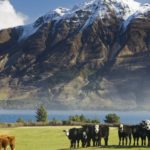 Eco-tourism in New Zealand