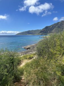 Photo of Ka'ena Point State Park in Oahu, Hawaii USA