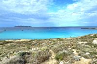 Favignana