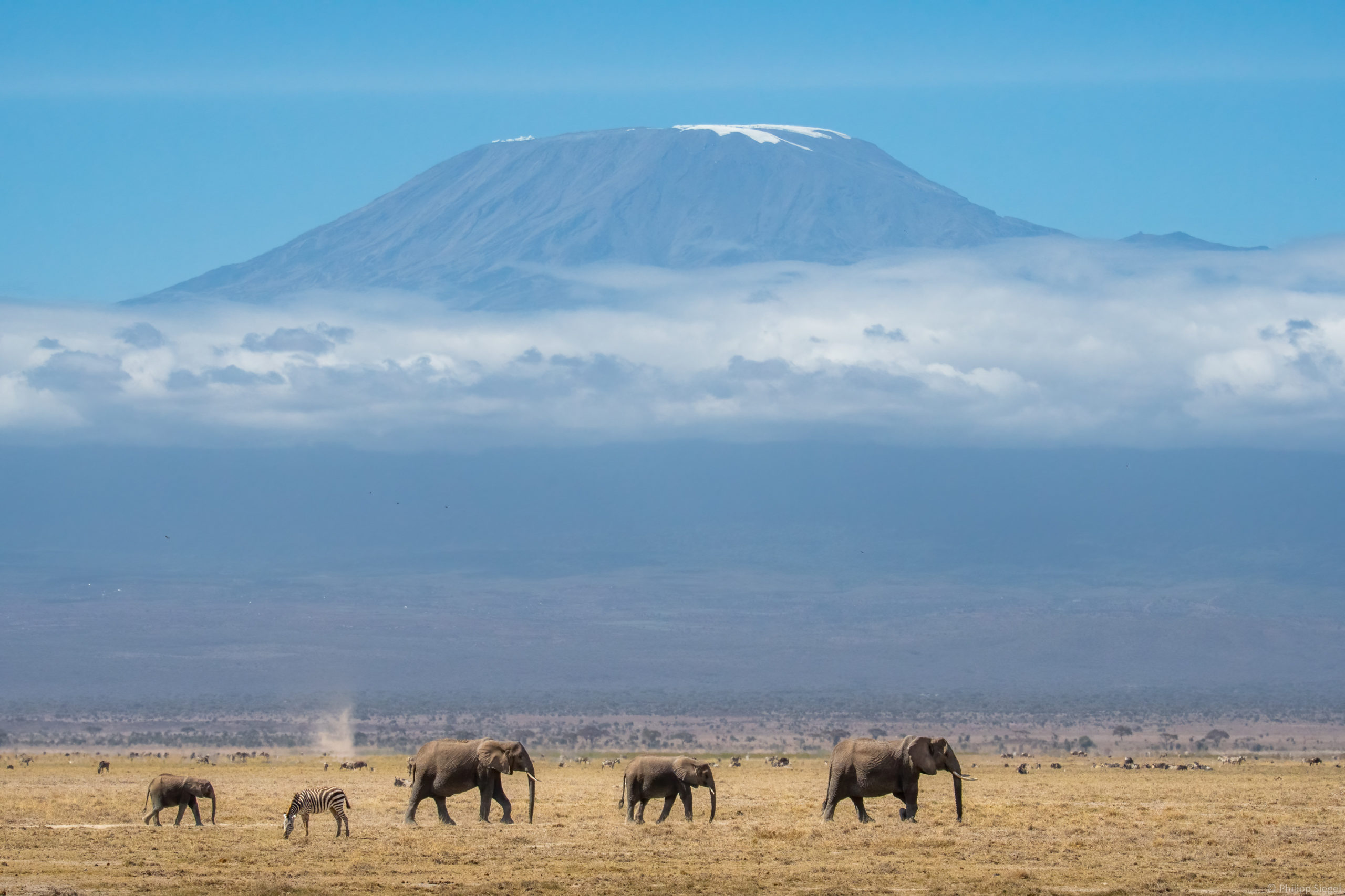 Amboseli National Park