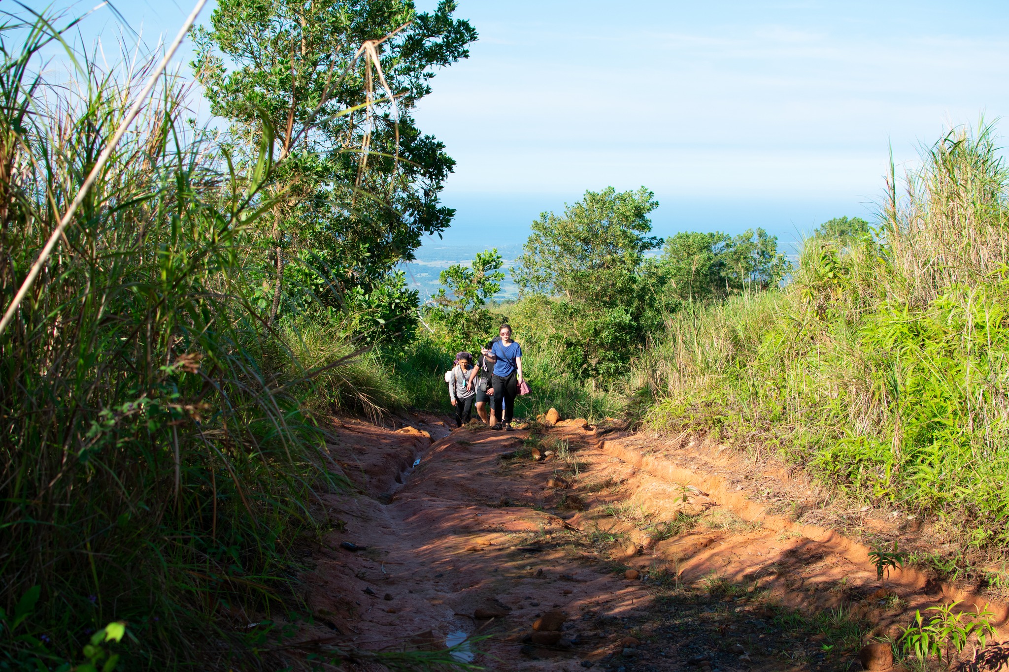 Mt. Tapulao Trail