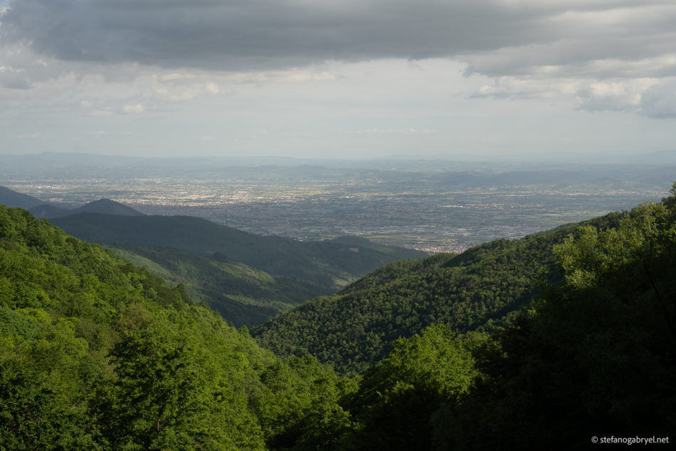 Acquerino view from the preserve