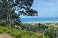 The Digital Nomad Guide to Aotearoa