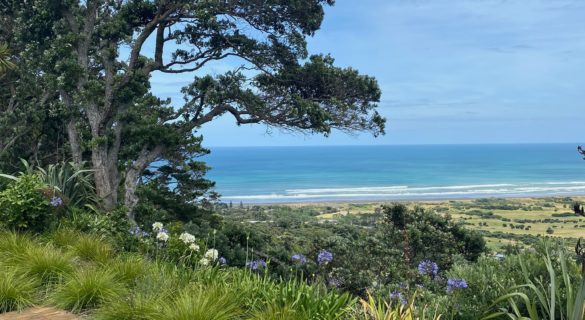 The Digital Nomad Guide to Aotearoa